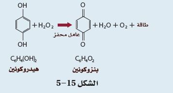  الشكل 15 - 5