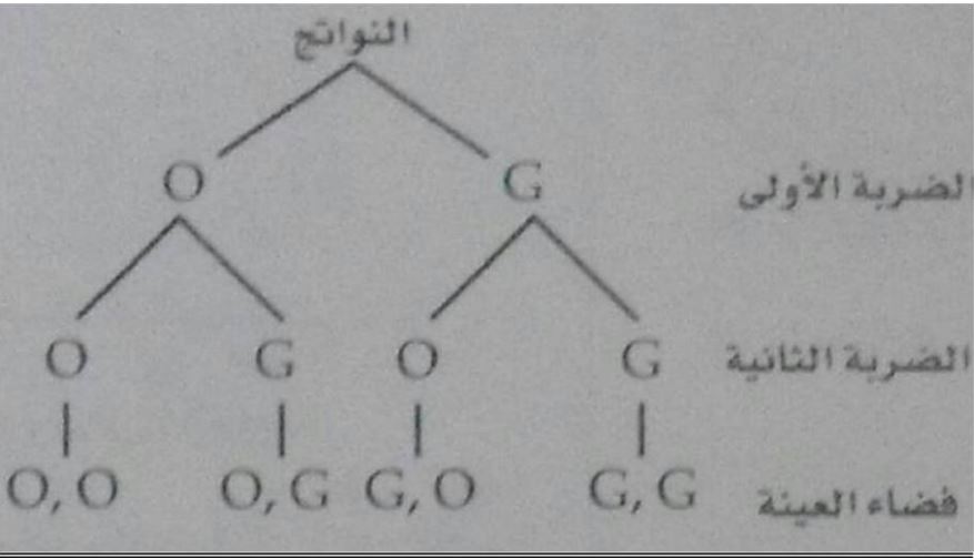 الرسم الشجري
