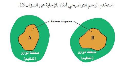 رسم توضيحي