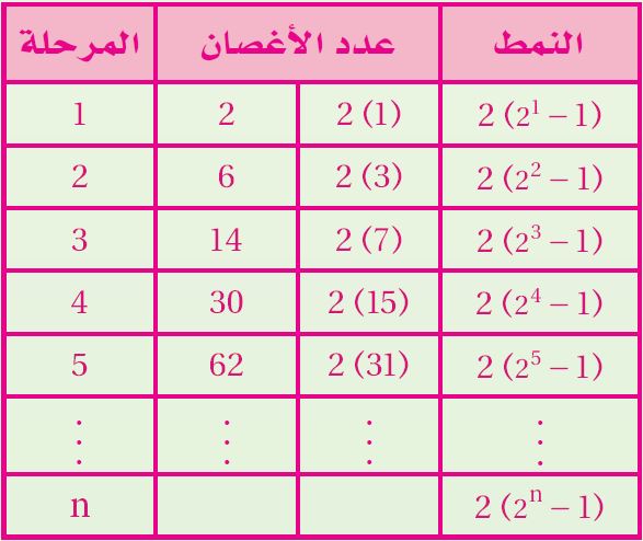 مراحل الأغصان