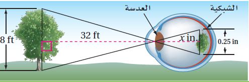عين الإنسان