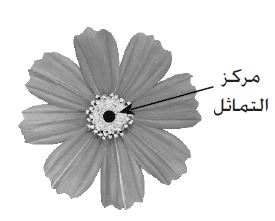 تماثل