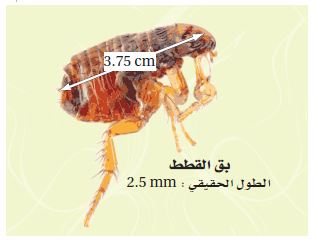 الشكل 14