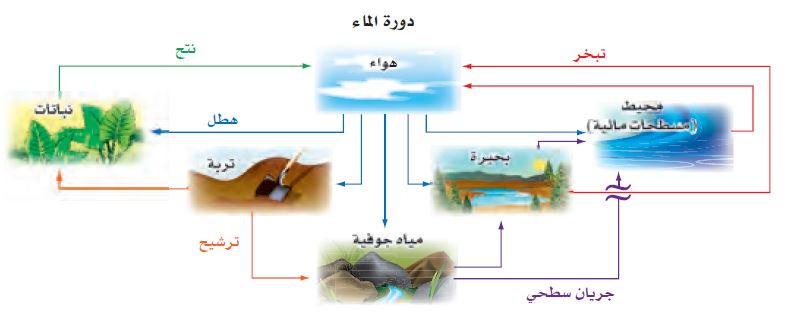 دورة الماء