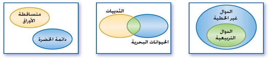 اشكال فن