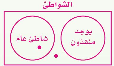 الشواطئ