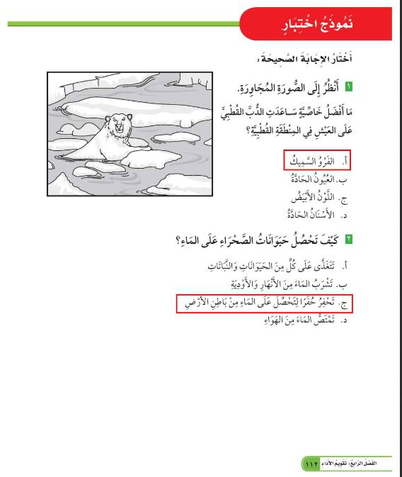 نموذج اختبار