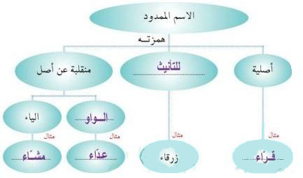 الاسم الممدود