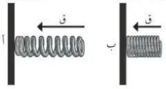 الشكل