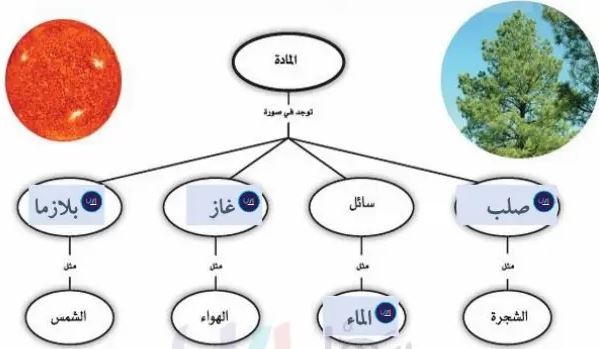 الخريطة