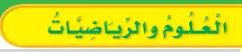 العلوم والرياضيات