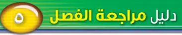 دليل مراجعة الفصل الخامس