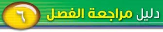دليل مراجعة الفصل السادس