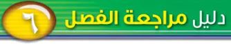 دليل مراجعة الفصل السادس