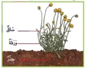 مثال