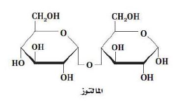 اسم التركيب