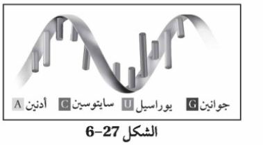 شكل