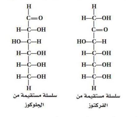 معادلة