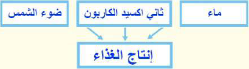 شجرة صنع الغذاء