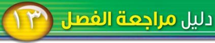 دليل مراجعة الفصل الثالث عشر