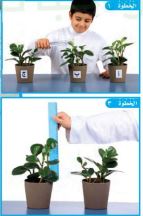 تجربة