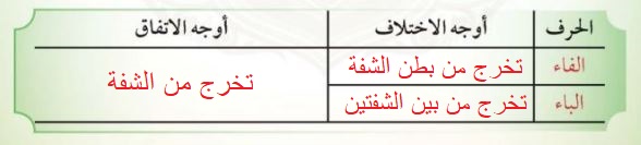 جدول النشاط الثاني
