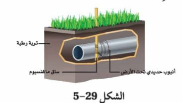 الشكل 29-5