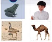 الصور