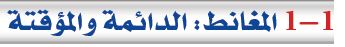 المغانط
