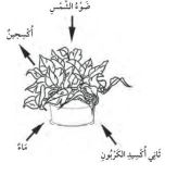 مثال