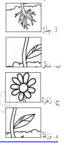 مثال