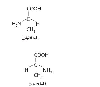 انيلين