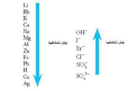 معدل