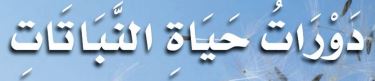 الدرس الأول: دورات حياة النباتات
