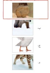 اختبار