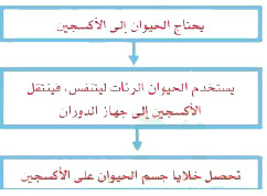 مثال