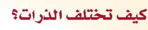 كيف تختلف الذرات