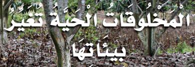 الدرس الأول: المخلوقات الحية تغير بيئاتها