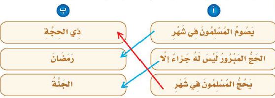 توصيل فقرات