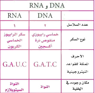 جدول