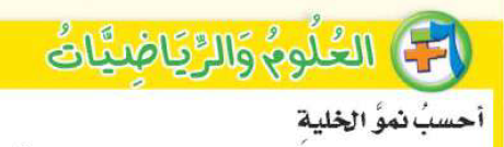العلوم والرياضيات
