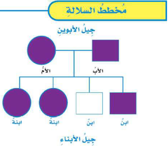 مخطط السلالة