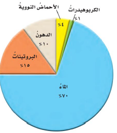 مكونات خلايا الإنسان