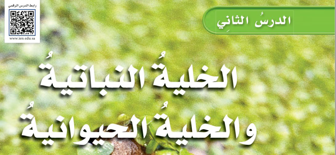 الدرس الثاني: الخلية النباتية والخلية الحيوانية