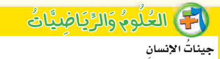 العلوم والرياضيات