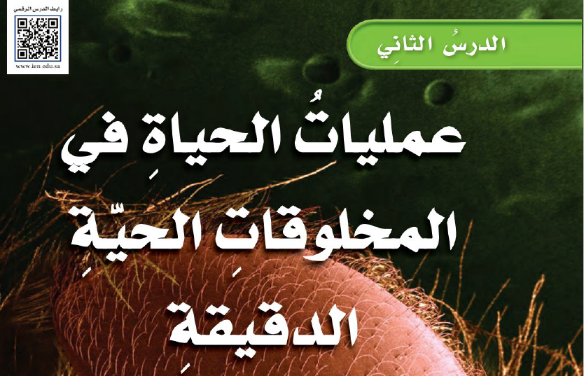الدرس 2: عمليات الحياة في المخلوقات الحية الدقيقة