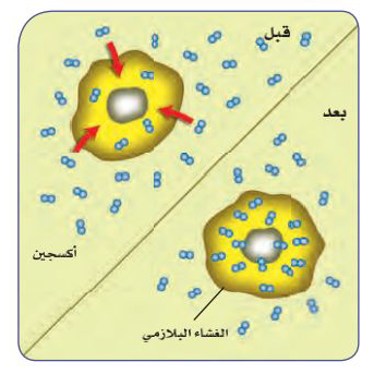 خلايا