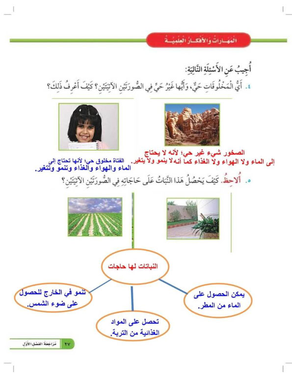 المهارات والأفكار العلمية