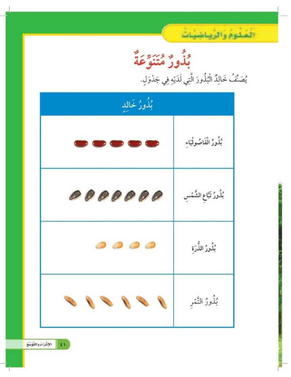 العلوم والرياضيات