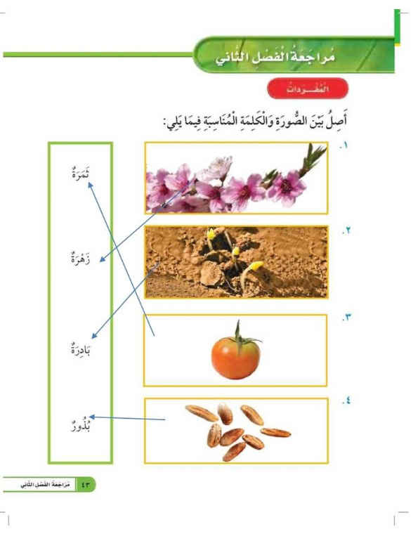 مراجعة الفصل الثاني